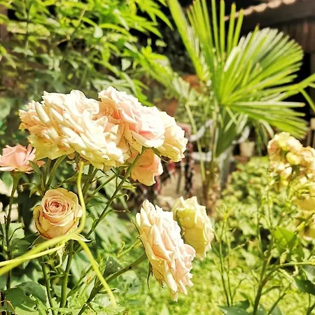 Bali Petrich Къща за гости 3*