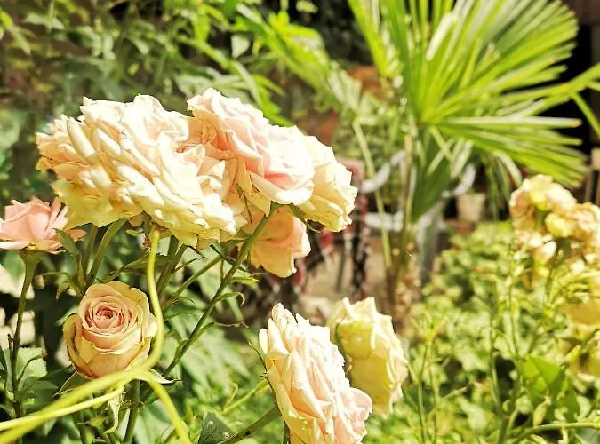 Bali Petrich Affittacamere 3*